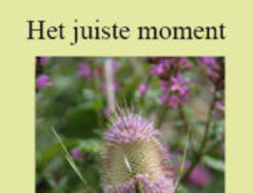 Het juiste moment