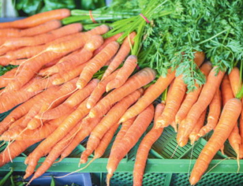 Vergelijking van biodynamisch veredelde rassen en hybriden