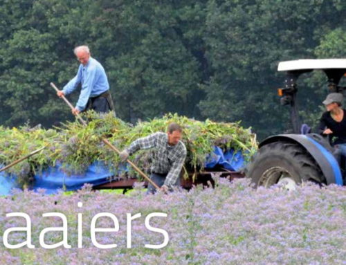 Zaaiers, zaadgoed is van ons allemaal