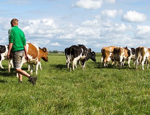 Nieuwe grondaankoop door Stichting Grondbeheer