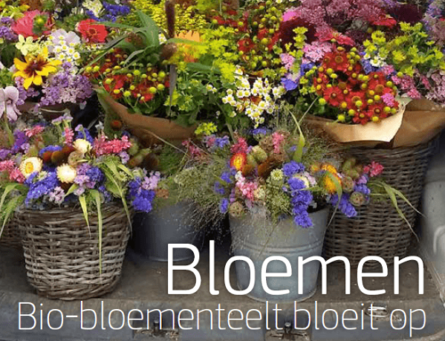 Nieuw themanummer over Bloemen