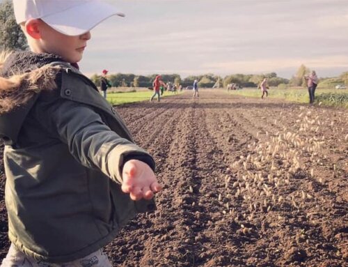 Toekomst Zaaien op biodynamische boerderijen