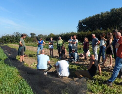 BD Zomerschool – Voedingskwaliteit, levenskwaliteit